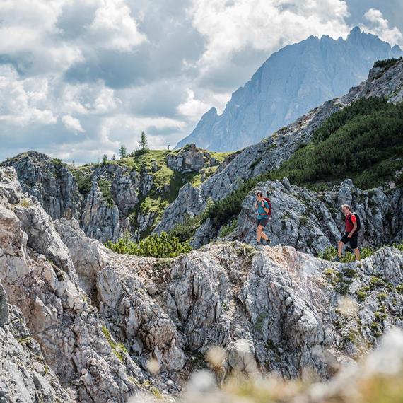 Il mondo alpino unico