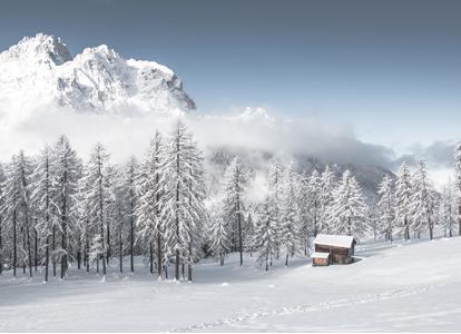 landingpage-winter-10