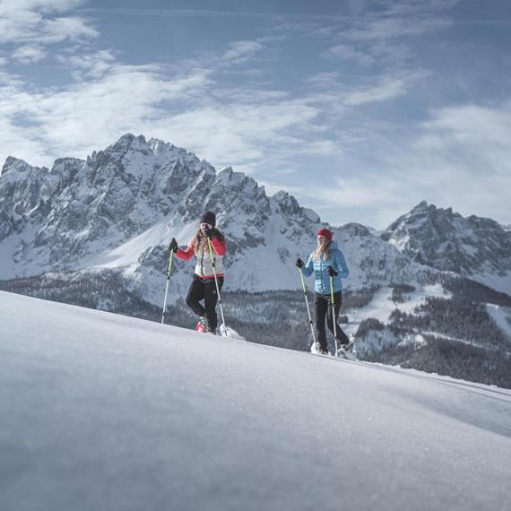 Discover nature in the Dolomites