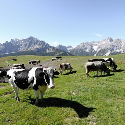 Il monte degli alpeggi