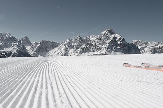 Ski Rental Martin Trojer